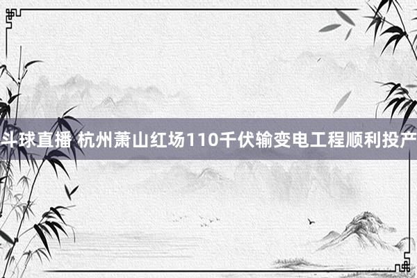 斗球直播 杭州萧山红场110千伏输变电工程顺利投产