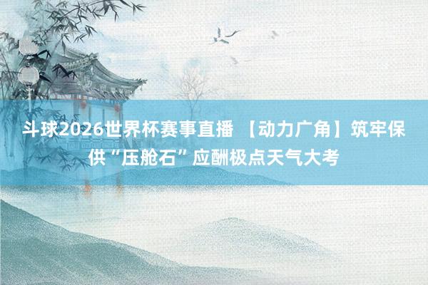 斗球2026世界杯赛事直播 【动力广角】筑牢保供“压舱石”应酬极点天气大考