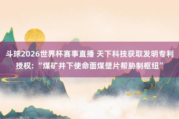 斗球2026世界杯赛事直播 天下科技获取发明专利授权: “煤矿井下使命面煤壁片帮胁制枢纽”