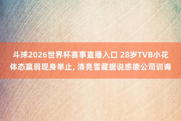 斗球2026世界杯赛事直播入口 28岁TVB小花体态羸弱现身举止, 清亮雪藏据说感德公司训诲