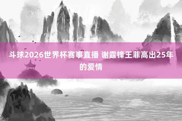 斗球2026世界杯赛事直播 谢霆锋王菲高出25年的爱情