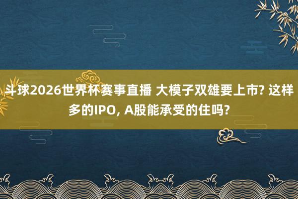 斗球2026世界杯赛事直播 大模子双雄要上市? 这样多的IPO, A股能承受的住吗?