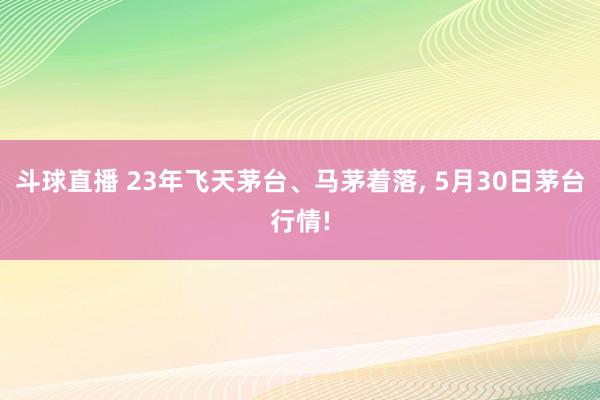 斗球直播 23年飞天茅台、马茅着落, 5月30日茅台行情!