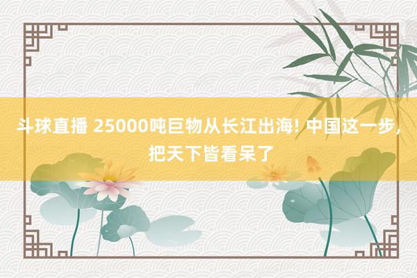 斗球直播 25000吨巨物从长江出海! 中国这一步, 把天下皆看呆了
