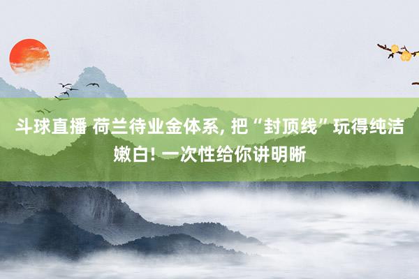 斗球直播 荷兰待业金体系, 把“封顶线”玩得纯洁嫩白! 一次性给你讲明晰