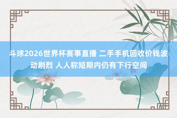 斗球2026世界杯赛事直播 二手手机回收价钱波动剧烈 人人称短期内仍有下行空间