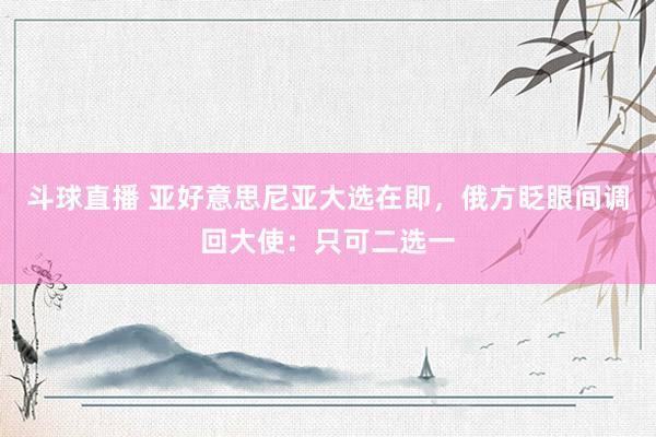 斗球直播 亚好意思尼亚大选在即，俄方眨眼间调回大使：只可二选一