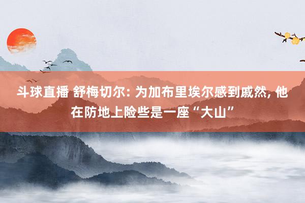 斗球直播 舒梅切尔: 为加布里埃尔感到戚然, 他在防地上险些是一座“大山”