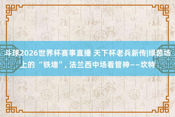 斗球2026世界杯赛事直播 天下杯老兵新传|绿茵场上的 “铁墙”, 法兰西中场看管神——坎特
