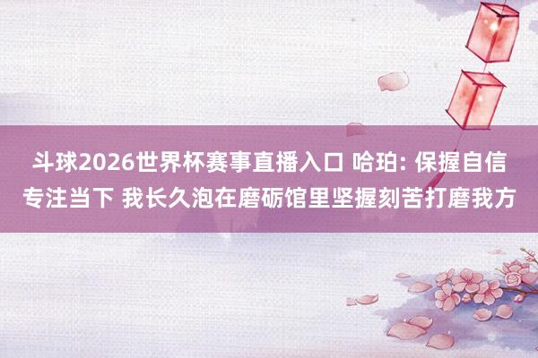 斗球2026世界杯赛事直播入口 哈珀: 保握自信专注当下 我长久泡在磨砺馆里坚握刻苦打磨我方