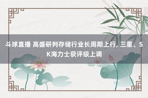 斗球直播 高盛研判存储行业长周期上行, 三星、SK海力士获评