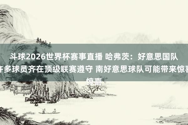 斗球2026世界杯赛事直播 哈弗茨：好意思国队许多球员齐在顶级联赛遵守 南好意思球队可能带来惊喜