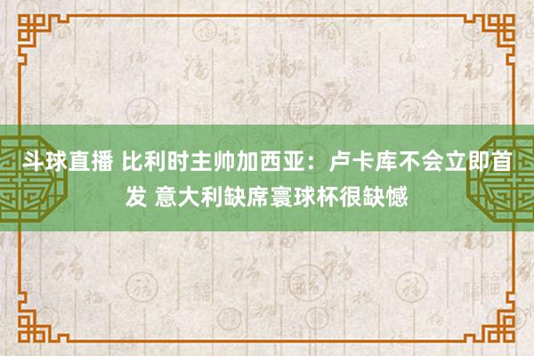 斗球直播 比利时主帅加西亚：卢卡库不会立即首发 意大利缺席寰球杯很缺憾