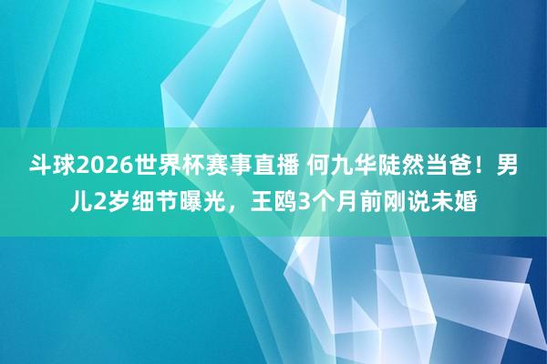 斗球2026世界杯赛事直播 何九华陡然当爸！男儿2岁细节曝光，王鸥3个月前刚说未婚