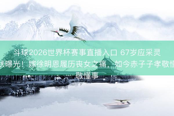 斗球2026世界杯赛事直播入口 67岁应采灵现状曝光！嫁徐明恩履历丧女之痛，如今赤子子孝敬懂事