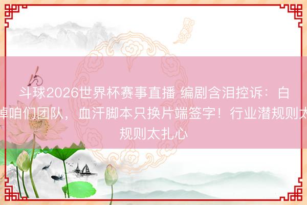 斗球2026世界杯赛事直播 编剧含泪控诉：白鹿换掉咱们团队，血汗脚本只换片端签字！行业潜规则太扎心