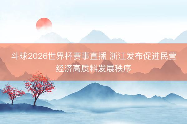 斗球2026世界杯赛事直播 浙江发布促进民营经济高质料发展秩序