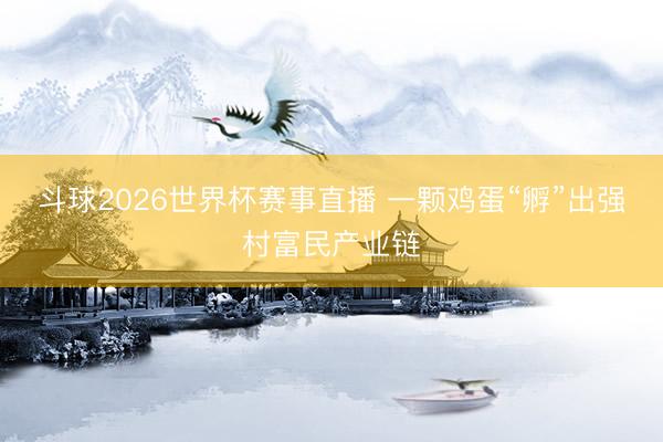 斗球2026世界杯赛事直播 一颗鸡蛋“孵”出强村富民产业链