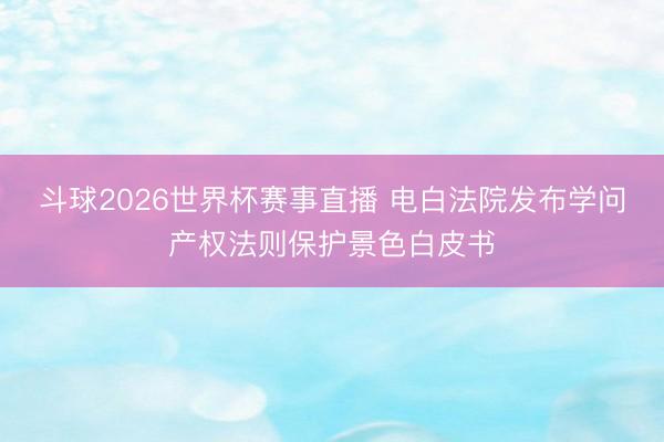 斗球2026世界杯赛事直播 电白法院发布学问产权法则保护景色白皮书
